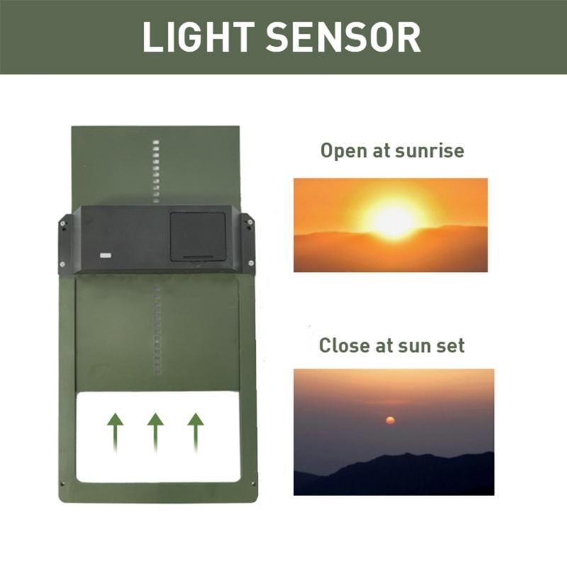 Porta Automatica per Pollaio Sensibile alla Luce Porta Automatica per Casa del Pollaio Porta di Alta Qualità Pratica per Gabbie da Pollame