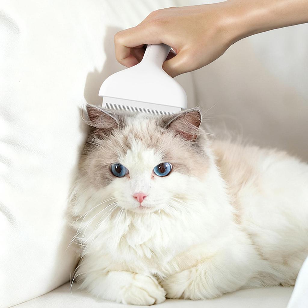 Detangling Comb Brush Hair Removal Tool for Loose Hair Thinning Pet Grooming Accessories