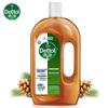 Dettol Antibacterial Hand Wash & Disinfectant Kit