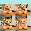 Gift Graduation Drteddy Bear Plush Toy Stuffed Animal Doll Kids Decoration