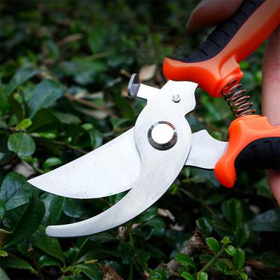 Professional Garden Scissors for Branch Trimming Fruit Tree Pruning Heavy Duty Household Gardening Shears