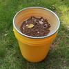 Round Metal Soil Sieve 4/6/8 MM Gardening Sand Sieve Filtration Tool Compost Sieve Tool  Flower Bed