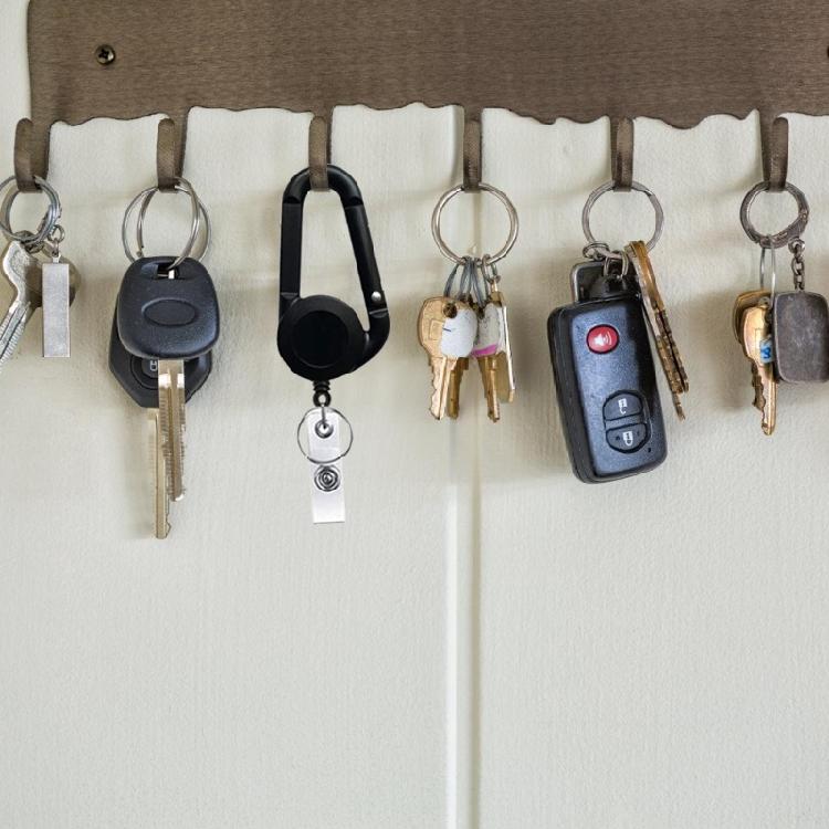 Practical Telescopic Buckles Chest Keychain Charm Accessory for Key Management Fashionable Decoration for Youth