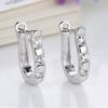 1 Pair Earrings Studs Luxury White Silver Plated Harp White Gemstones Hoop Earrings for Daily Life
