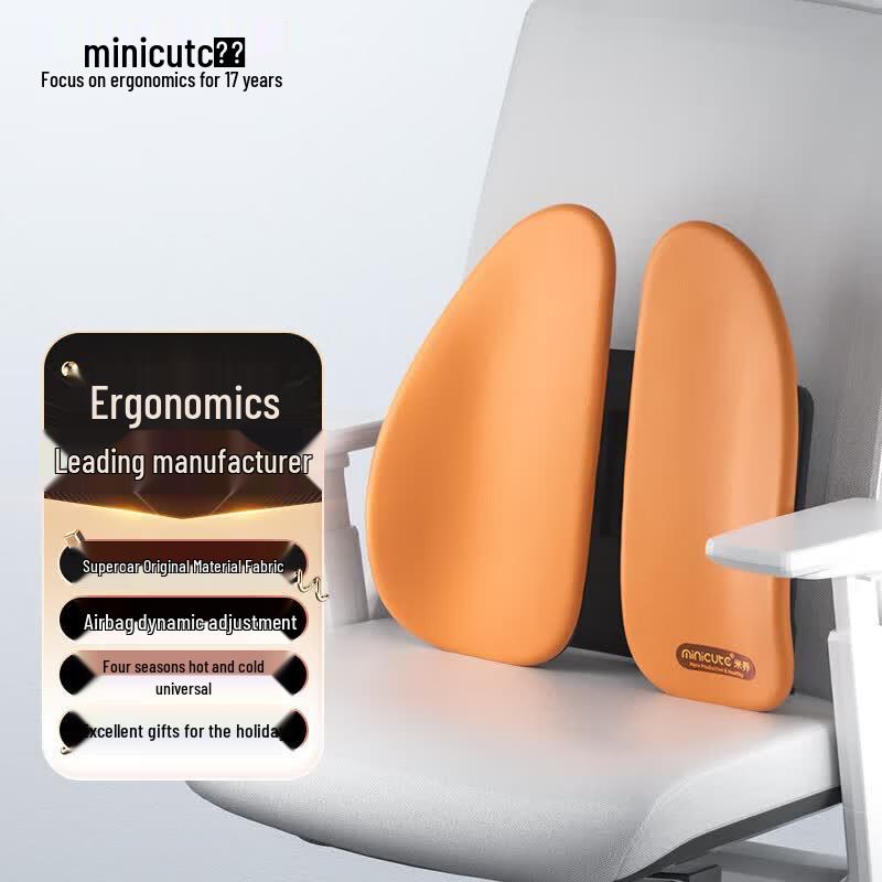 Miqiao Ergonomic Lumbar Support Cushion