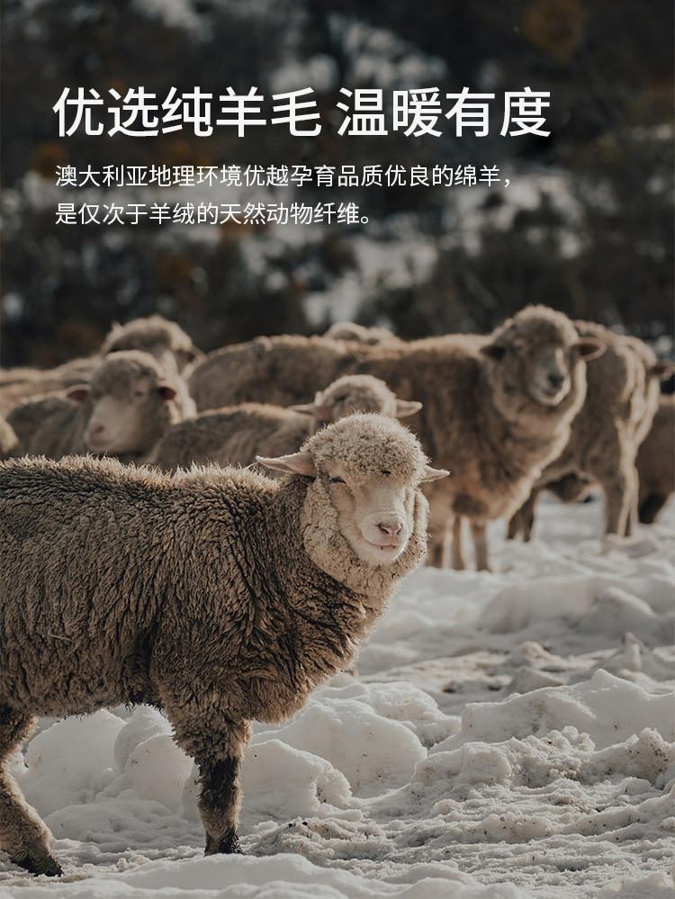 [100% Sheep Wool] Winter Warm and Comfortable Two Collar Woolen Sweater Solid Color Versatile Knitted Base Sweater