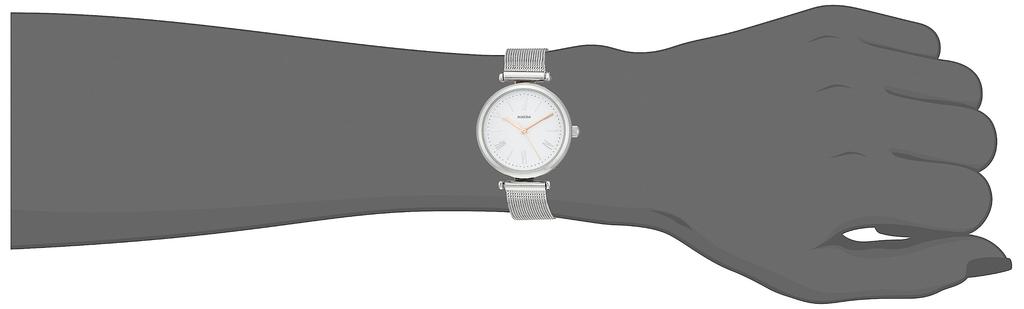 Fieldwork WP Misty Mesh Women's Watch, Waterproof, Strap, Analog, Silver, YM063-1