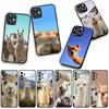 Phone Cover Cute Lama Llama Alpacas Casing for Xiaomi Poco F7 F6 F8 Ultra F5 X7 X6 X5 X3 NFC M7 M6 Pro C85 C75 C65 C71 C61 Case
