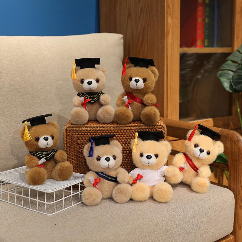 Graduation Gift Bear for Students: Doctoral, Master's, University, Kindergarten