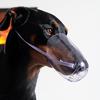 Cat Muzzle Cat Face Guard Mask for Grooming Breathable Transparent PVC Muzzle Large Size for Cats