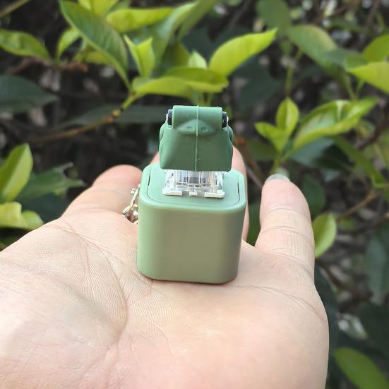 Frog Croaking Fidget Toy Keychain with Colorful Lights Rechargeable Stress Reliever for Anxiety Sensory Fun Adult Animal Sound Button Toy