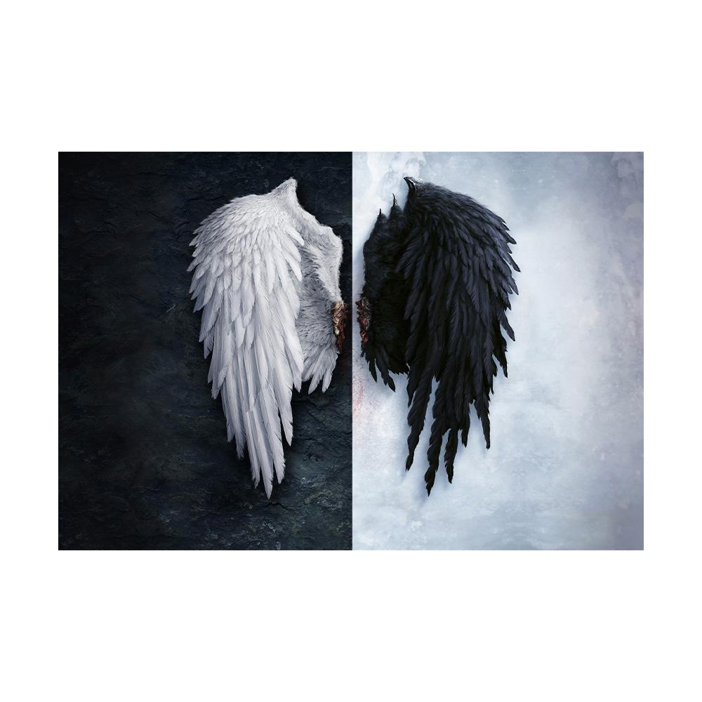 

Холст с ангельскими крыльями, черно-белый граффити-постер для декора стен гостиной, идеальный подарок для декора дома 20x30cm