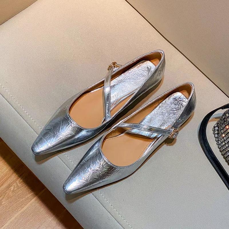 Women's Fashion Buckle High Heels French Silver Strap Mary Jane Shoes Women's 2025 New Soft Leather Wedge Pointed Toe Shoes