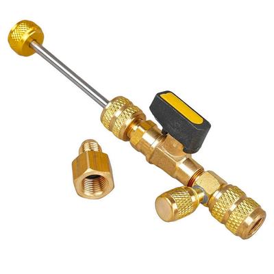 Dubbele Maat 1/4" & 5/16" Poort Ventielkern Verwijderaar Installateur Kit Gereedschap met 10 STUKS 5v1 Ventielkernen en Dubbele Kop voor Koelmiddel