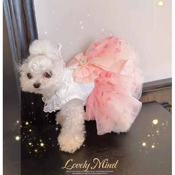 Luxury Pink Sweetheart Dog Princess Dress, Big Bow Lace Evening Gown with Heart Diamond for Small Dogs