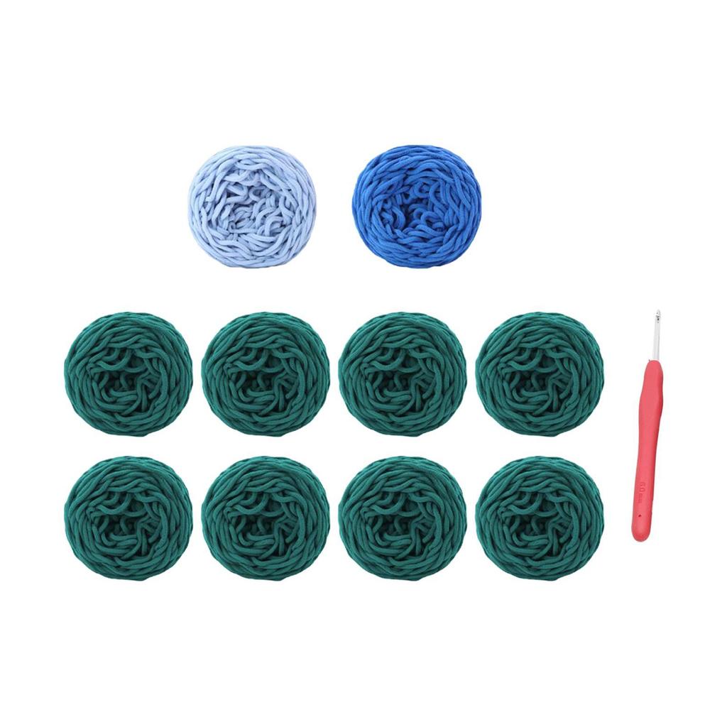 Crochet Blanket Kit Crochet Starter Kit Gift Hand Knitted Yarn Accessories