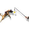 Interaktiver Hundespielzeug-Flirtstab mit Lederbisslappen und Ball Welpen-Zahnpflege-Kauspielzeug für K9-Training Kleine Große Hunde Outdoor-Spiel