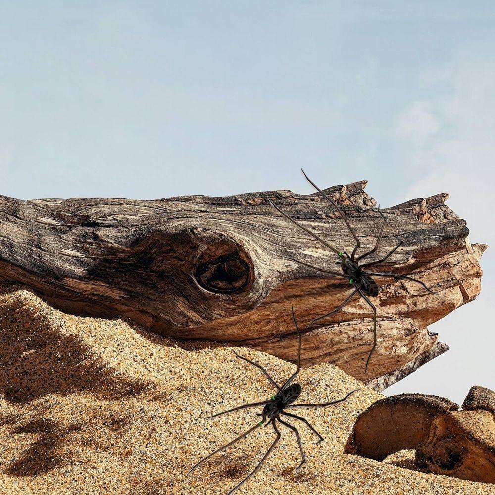 Funny Fridge Magnets Spider Refrigerator Sticker Strong Adhesive Flexible Legs 3D Spider Fridge Magnet 3D Printed Durable