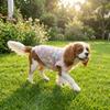 Thin Breathable Cooling Dog Vest Floral Print Sunproof Cat Mesh T Shirt Flying Sleeves Lightweight Cat Summer Clothes Indoor