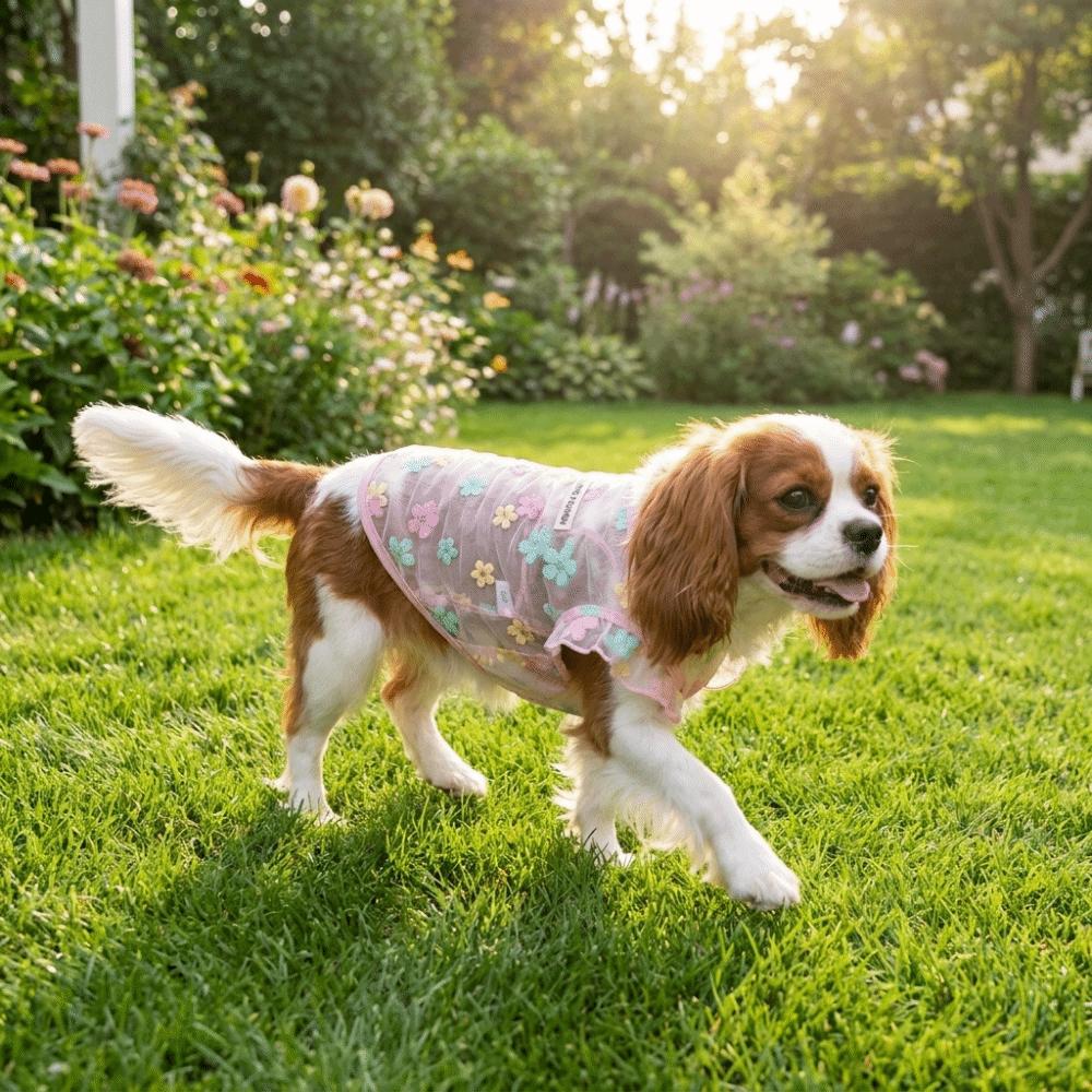 Thin Breathable Cooling Dog Vest Floral Print Sunproof Cat Mesh T Shirt Flying Sleeves Lightweight Cat Summer Clothes Indoor