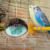 Natural Coconut Husk Bird Breeding Nest Bed Cage Hatching Nest with Mat