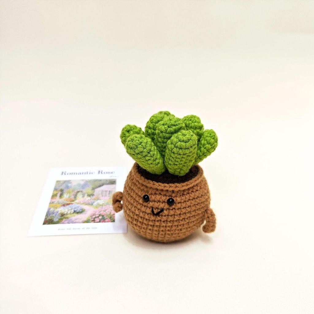 Tulip Cactus Heart Crochet Succulent Home Decor Plant