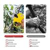 Rechargeable Electric Pruning Shears with Lithium Battery for Tree and Fruit Branches – Two Styles Available.