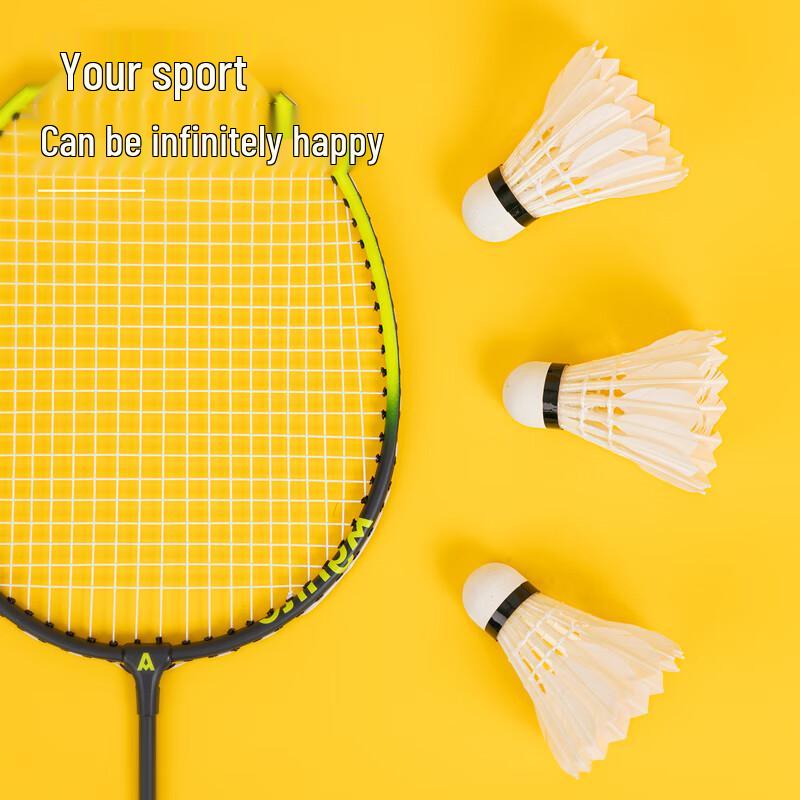 Deli F2202 Goose Feather Badminton Shuttlecocks (12-Pack)