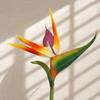 2 Pcs PU False Paradise Flower Plant 23.62in Artificial Paradise Flower Plants  for Office