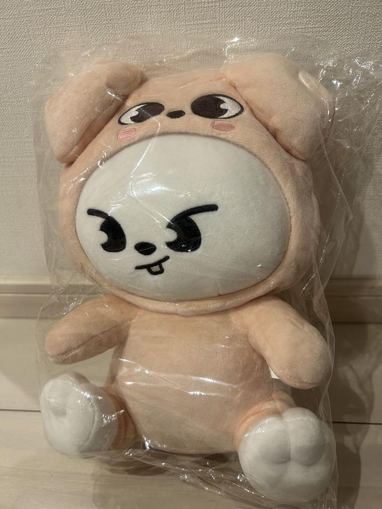 [USED] Stray Kids SKZOO Hug Plush Toy Leavitt Reno