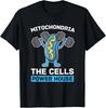 Tops – T-Shirts