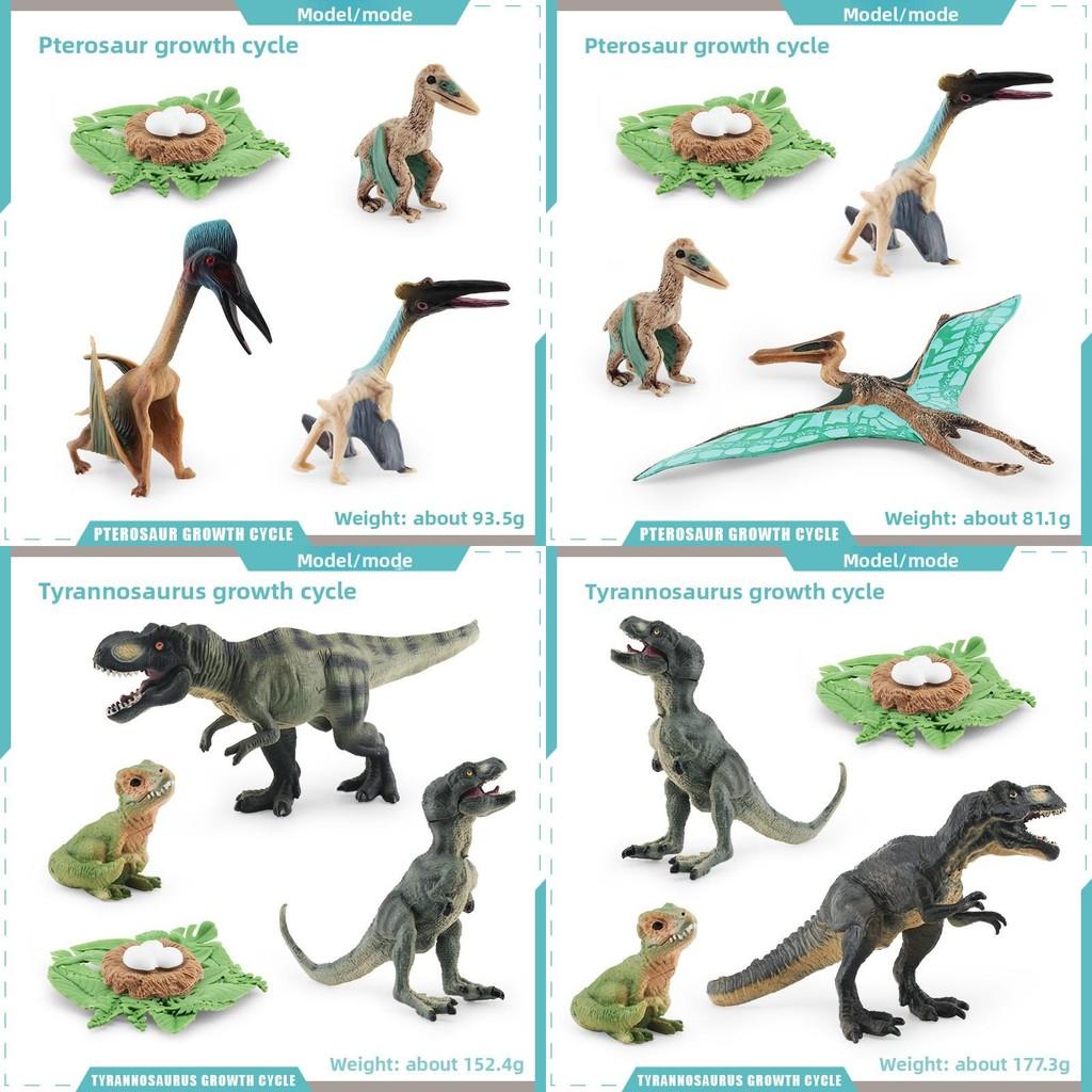 Pterosaur T Rex Growth Cycle Figures Pvc Models For Kid Science Educational Gift