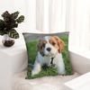 Poszewka na kwadratową poduszkę Cavalier King Charles Spaniel Poszewka na poduszkę Poszewka na poduszkę Dekoracyjna poszewka na poduszkę do domu, sypialni, samochodu