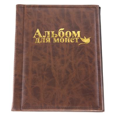 250 Pockets 10 Pages World Coin Storage Folder Album Money Collecting Holder Book Brown