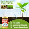 Yegbong Plant Nutrient Concentrate Universal Liquid Fertilizer for Flowers Vegetables Succulents Rooting 50ml