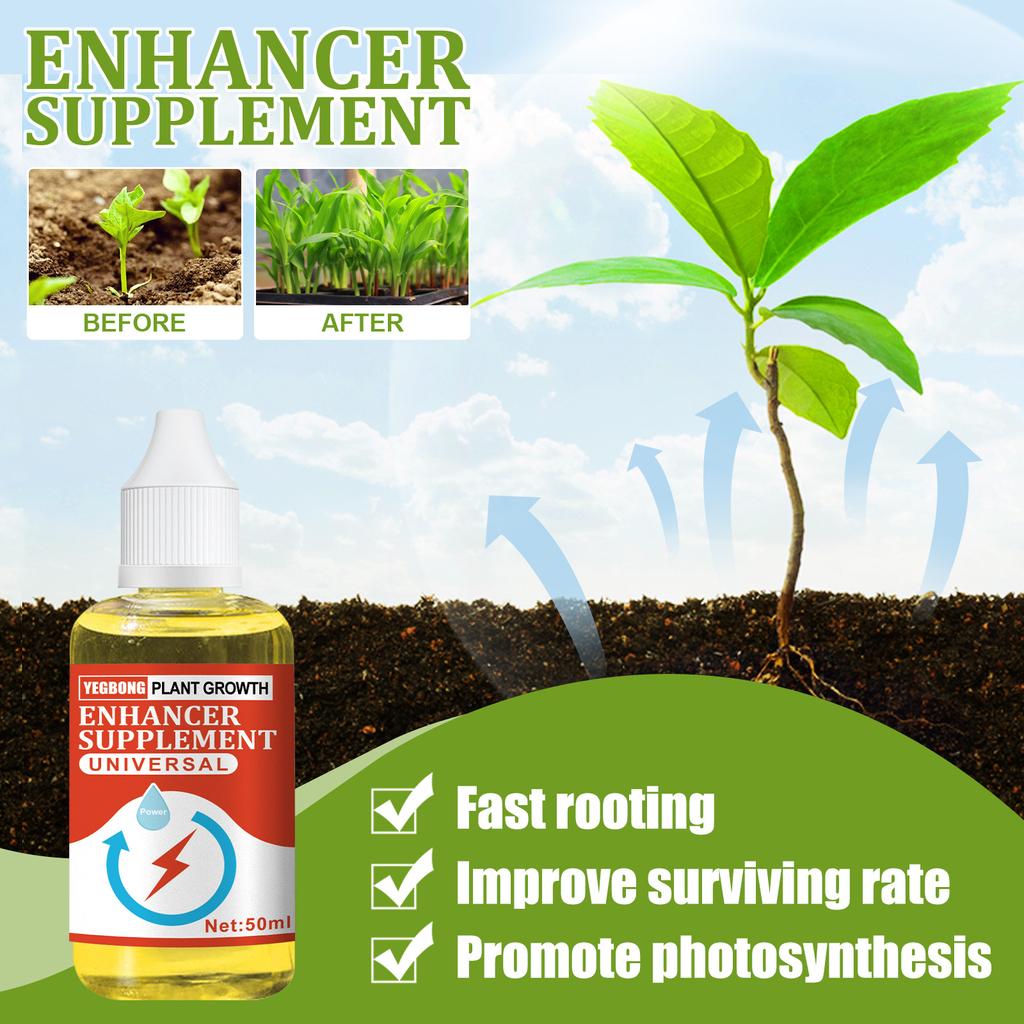 Yegbong Plant Nutrient Concentrate Universal Liquid Fertilizer for Flowers Vegetables Succulents Rooting 50ml