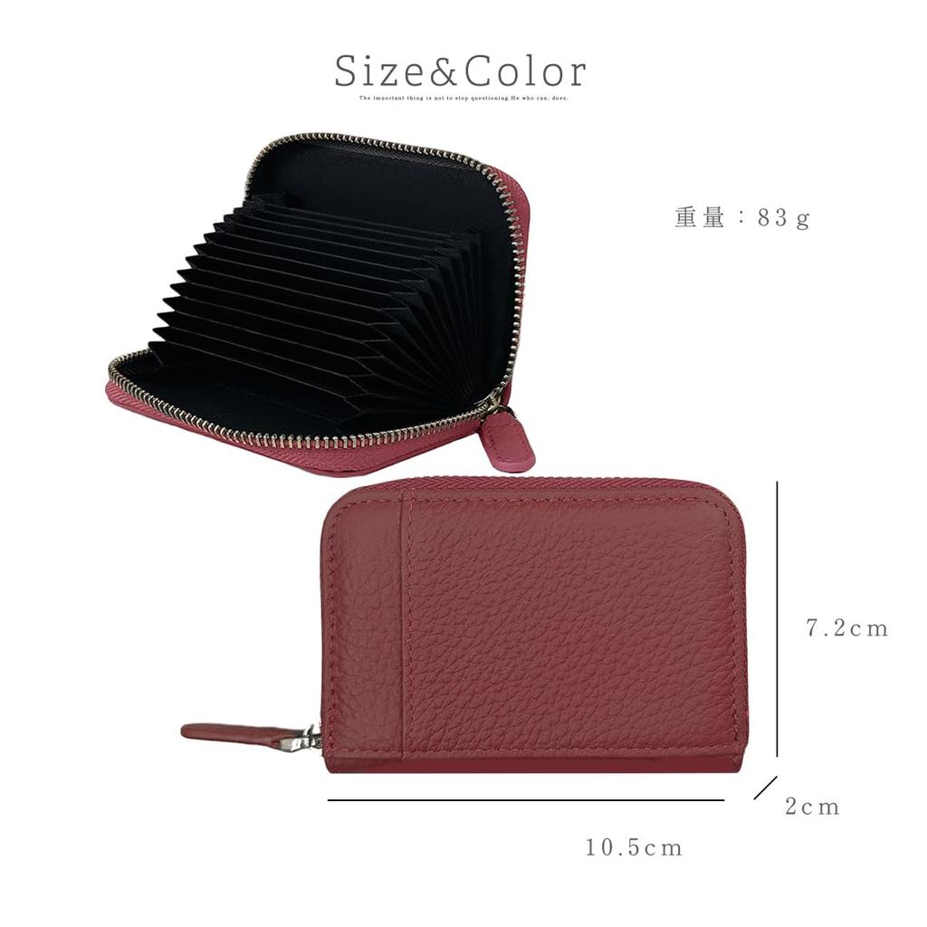 Gisele Card Case, Accordion-style, Large Capacity, Genuine Leather, Compact, Lightweight, Anti-Skimming, Simple Design for Men and Women (Black with