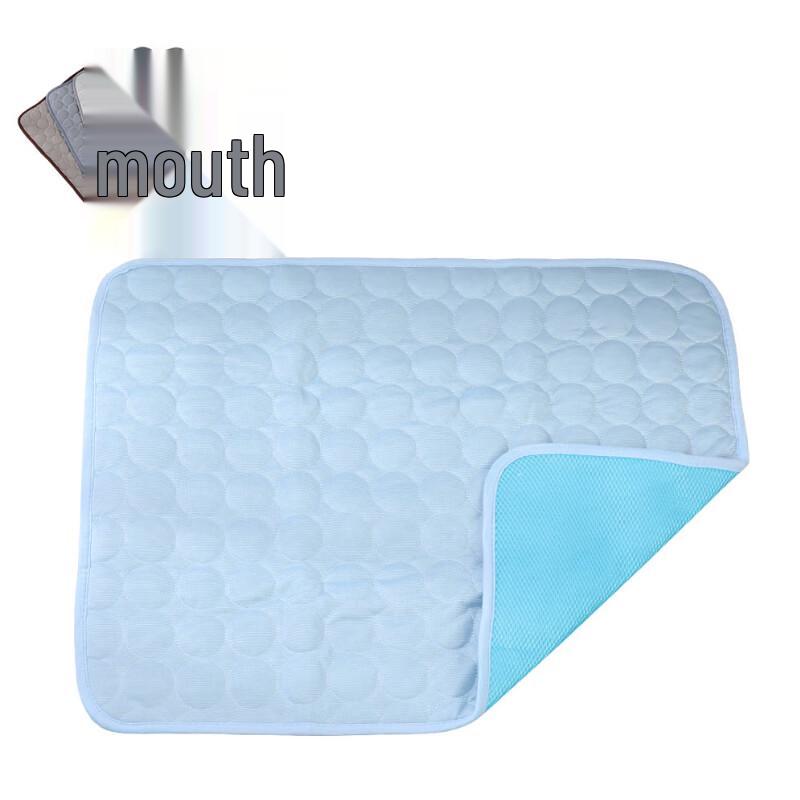 Rong Shi Pet Ice Silk Cooling Mat