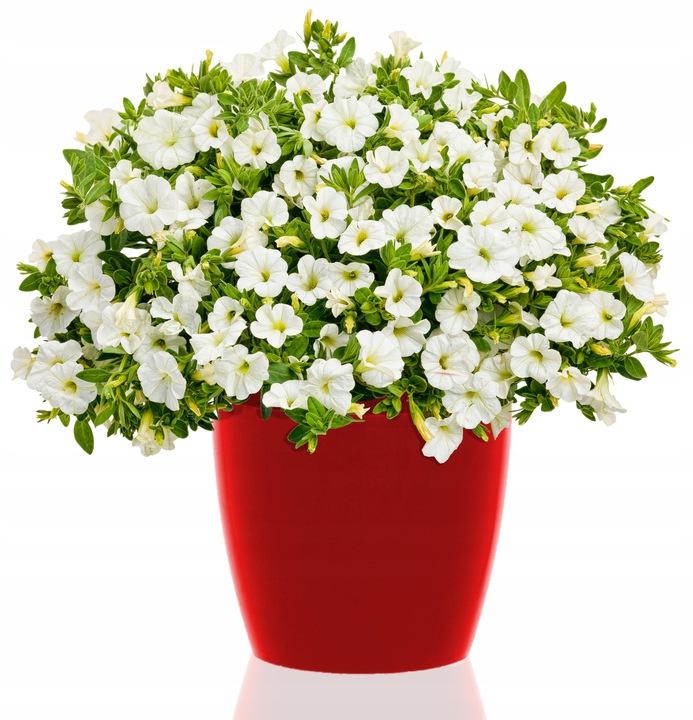 Vaso da fiori con coperchio in plastica, rosso, 13,5 cm, Magnolia