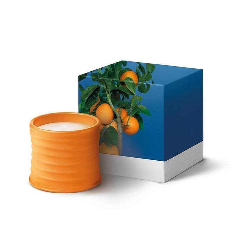 Mussel Scented Candle Gift Set