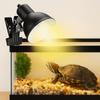 Thermostat Reptile Heat Lamp Adjustable Heating Pet Heat Bulb Turtle Basking Lamp  Pet Box Lighting