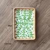 Green Leaf Decorative Storage Tray