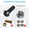 YALOK Anti Theft License Plate Screws Kits- Rustproof Stainless Steel Car Tag Plate Mounting Hardware, M6 (1/4") Tamper Proof Fastener Nut, Caps