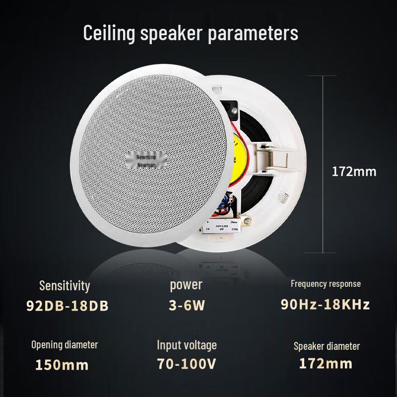 Newmine R15 Bluetooth Ceiling Speaker System CN plug (adapter included)