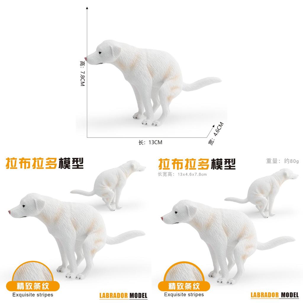 Labrador Retriever Dog Model Pvc Sculpture For Kids Gift And Animal Enthusiast Collectors