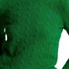Polo Ralph Lauren Solid Ribbed Crew Neck Casual Long Sleeve Knit Sweater Women Sweater Green 211910421-020