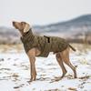 Warm Dog Clothes Turtleneck Winter Whippet Greyhound Parka Clothing Thick Reflective Snowsuit Coat Pet Jacket for Large Breed