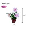 3pcs 1:12 Dollhouse Miniature Green Plant Mini Garden Home Model  Doll House Accessories