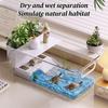 Turtle Breeding Tank Turtle Tank Amphibians Reptile Breeding Box Tortoise Habitat With Basking Platforms Desktop landscaping