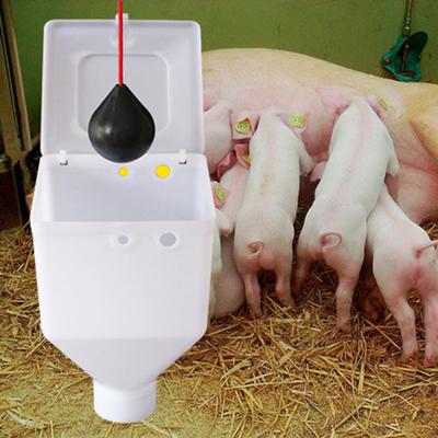 Ptáci – Ptačí krmítka a pítka